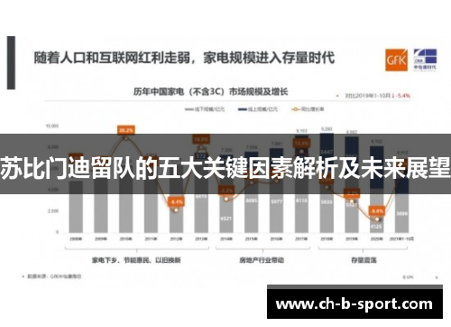 苏比门迪留队的五大关键因素解析及未来展望