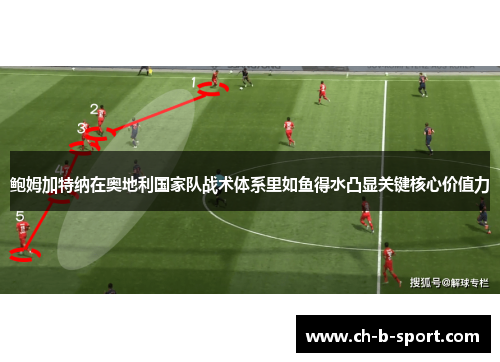 鲍姆加特纳在奥地利国家队战术体系里如鱼得水凸显关键核心价值力 鲍姆加特纳在奥地利国家队战术体系里如鱼得水凸显关键核心价值力